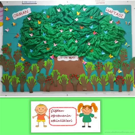 okul öncesi orman haftası ile ilgili etkinlikler